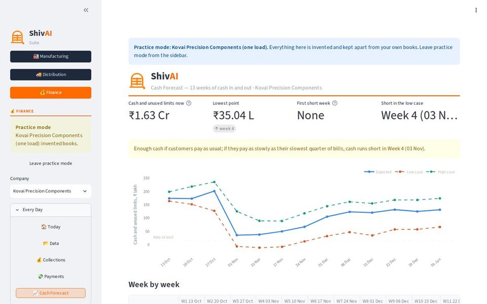 Finance — the 13-week cash forecast